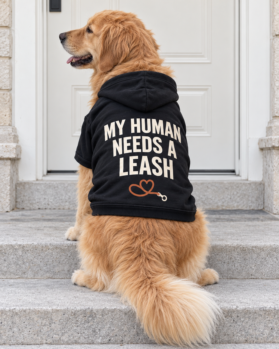 Golden retriever wearing the black MY HUMAN NEEDS A LEASH dog hoodie with a leash-heart graphic