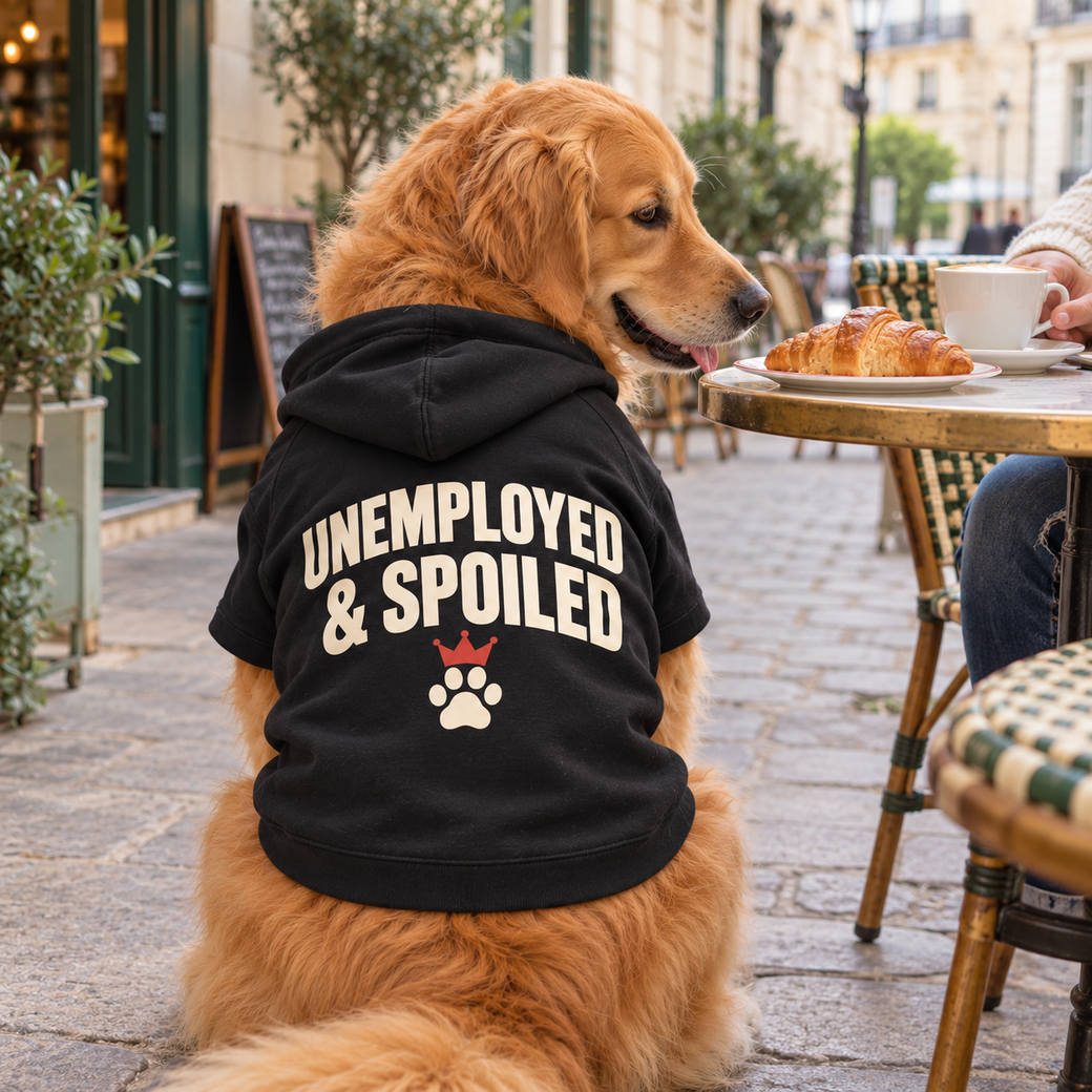 Golden Retriever im schwarzen UNEMPLOYED &amp; SPOILED Hoodie im Café
