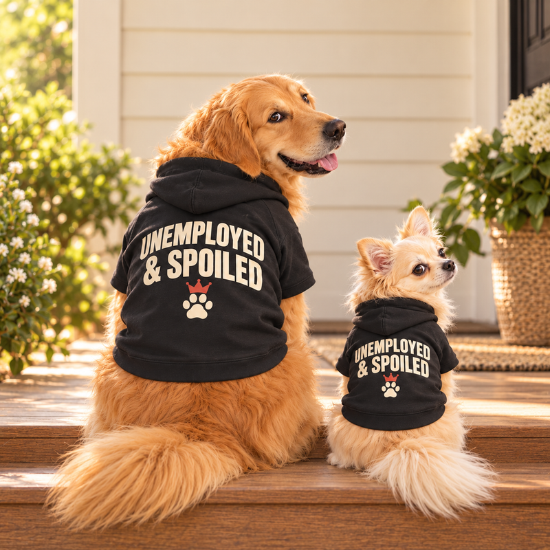 Golden Retriever und Chihuahua in passenden schwarzen UNEMPLOYED &amp; SPOILED Hoodies auf einer Veranda